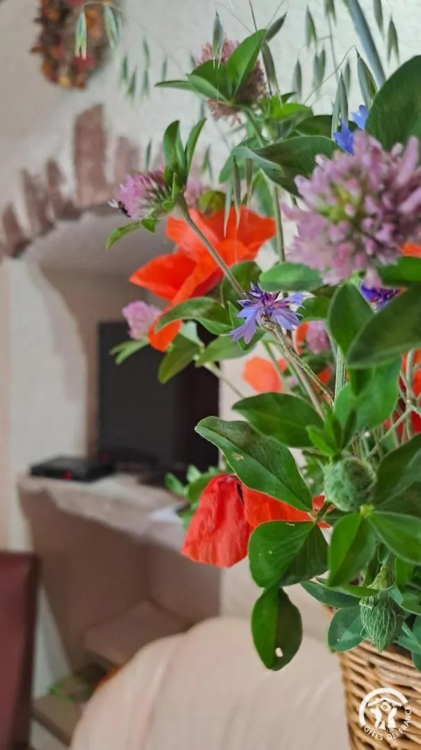Vakantiehuis Cambert Villa Murat-sur-Vebre